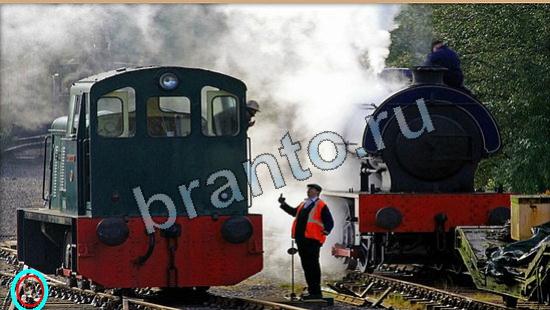 Где же кот? решения Уровень 6292