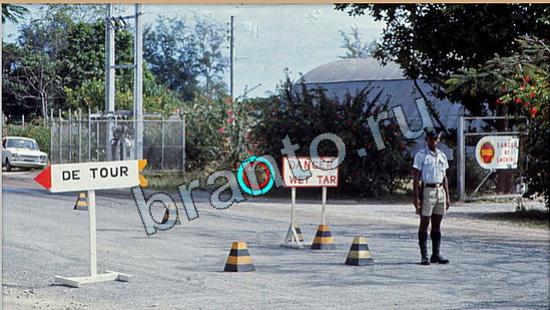 Где же кот игра ответы Уровень 6293