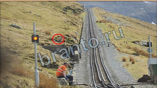 Где же кот игра подсказки Уровень 6294