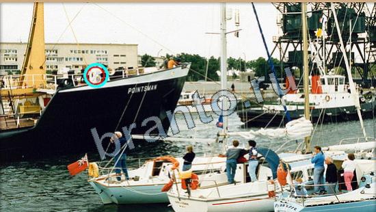 Игра Где же кот подсказки Уровень 6298