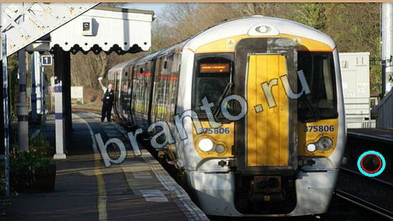 игра Где же кот помощь Уровень 6299