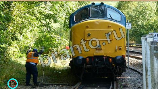 Игра Где же кот прохождение Уровень 6300