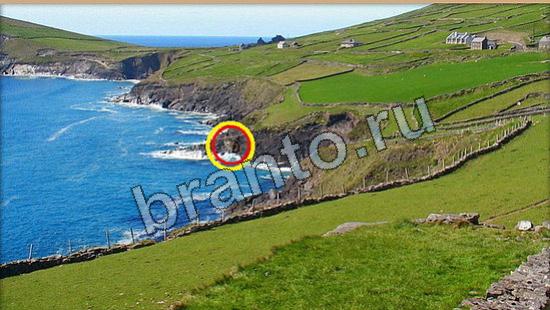 прохождение на игру Где же кот Уровень 6301