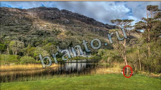 Где же кот прохождение игры Уровень 6302