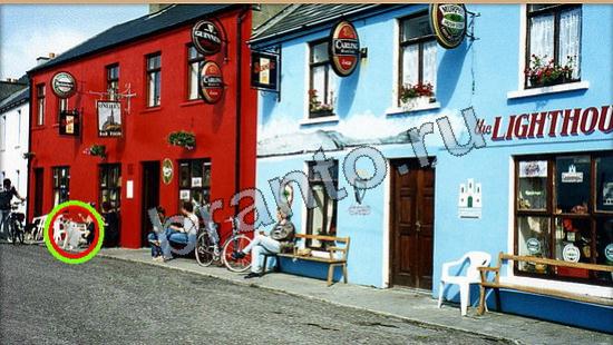 ответы Где же кот Уровень 6305