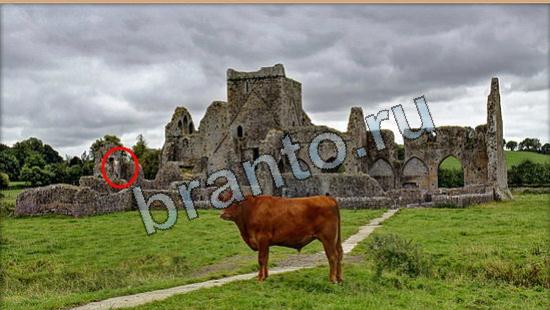 ответы для игры Где же кот Уровень 6307