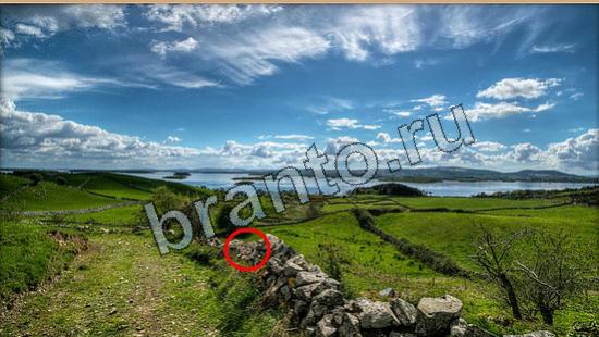 Где же кот игра ответы Уровень 6309