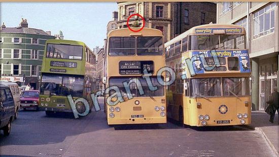 игра в одноклассниках Где же кот ответы Уровень 6310