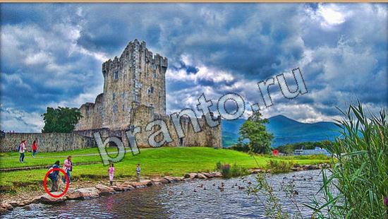 Где же кот помощь в картинках Уровень 6311