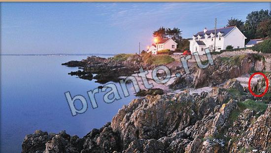 Где же кот ответы на новые задания Уровень 6313