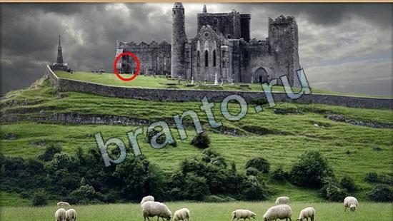 ответы на игру Где же кот Уровень 6314