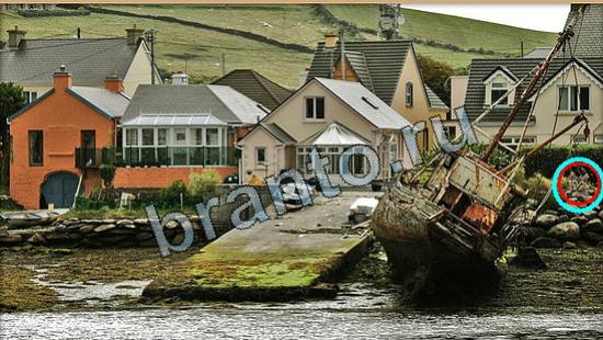 ответы на игру Где же кот Уровень 6316