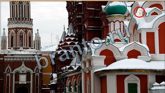 Где же кот? решения Уровень 6332