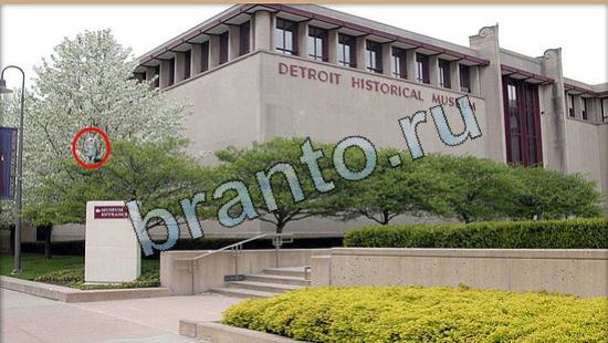 Где же кот игра помощь Уровень 6335