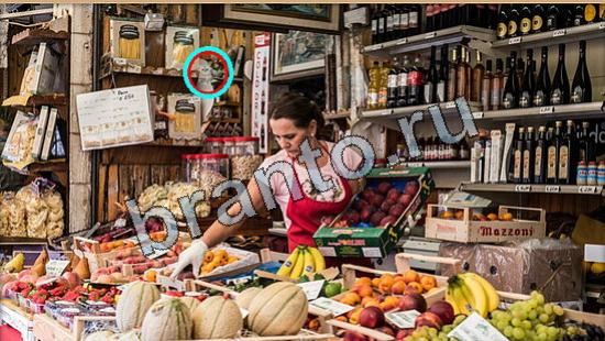 Где же кот игра ответы Уровень 6349