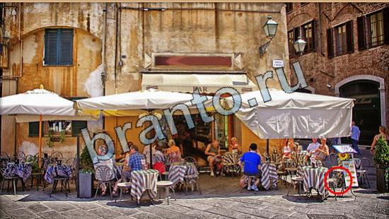 Где же кот помощь в картинках Уровень 6351