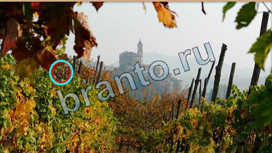 ответы на игру Где же кот в скриншотах Уровень 6352