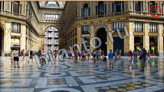 ответы на игру Где же кот Уровень 6354