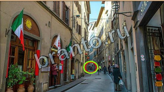 решения на игру Где же кот Уровень 6355