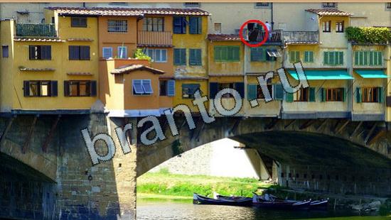 ответы в картинках на игру Где же кот Уровень 6357