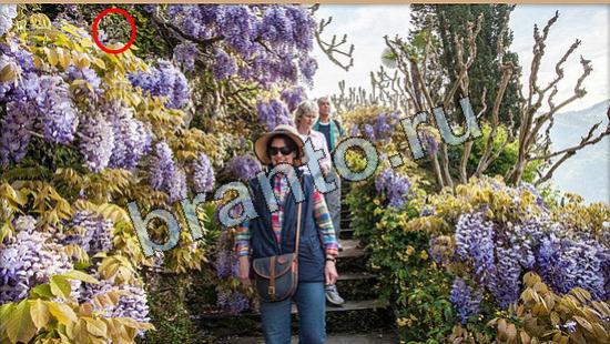 помощь на игру Где же кот Уровень 6358