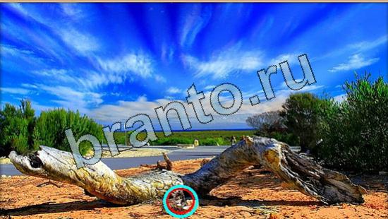 Решения на игру Где же кот Уровень 6403