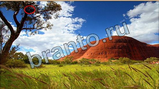 Где же кот? ответы Уровень 6408