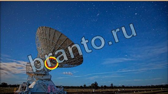 решебник на игру Где же кот Уровень 6411