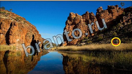 Где же кот игра ответы Уровень 6413