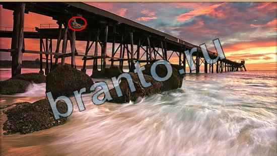 Где же кот игра подсказки Уровень 6414