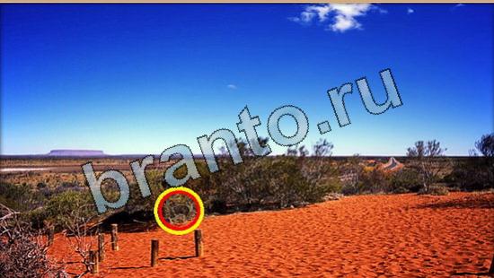 Где же кот ответы в картинках Уровень 6416