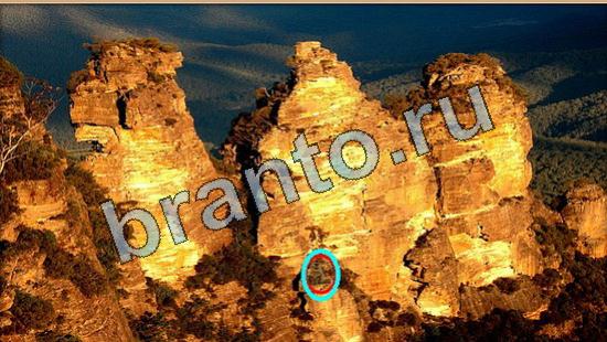 Игра Где же кот ответы Уровень 6417