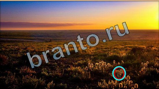 Игра Где же кот подсказки Уровень 6418