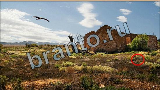 игра Где же кот помощь Уровень 6419