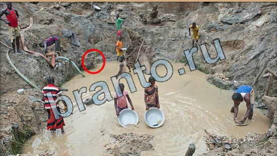 ответы Где же кот Уровень 6425