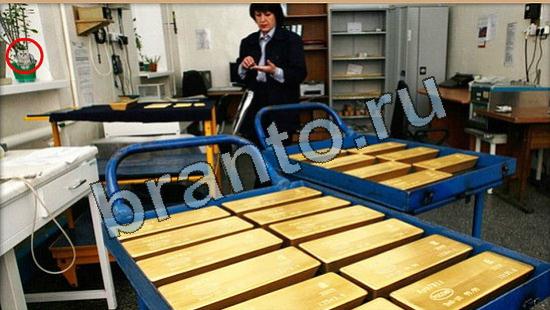 Где же кот помощь в картинках Уровень 6431