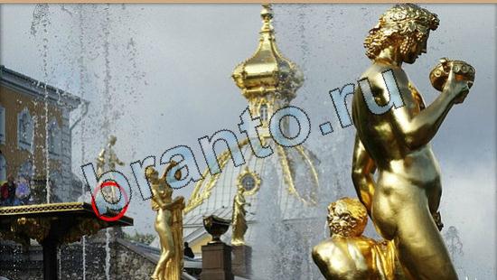 Где же кот ответы в одноклассниках Уровень 6439