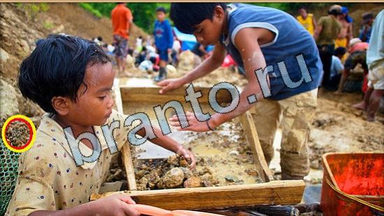 Где же кот игра ответы Уровень 6440