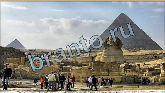 Решения на игру Где же кот Уровень 6443