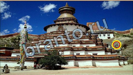 Где же кот? ответы Уровень 6448