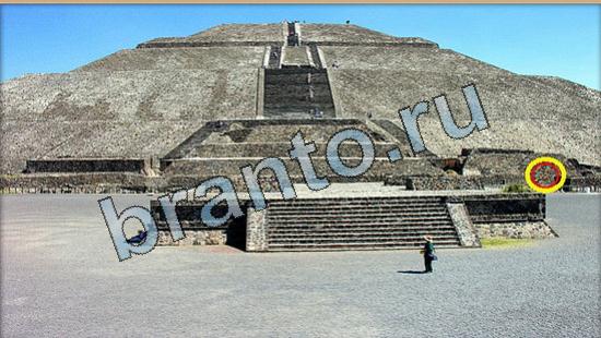 Где же кот? решения Уровень 6452