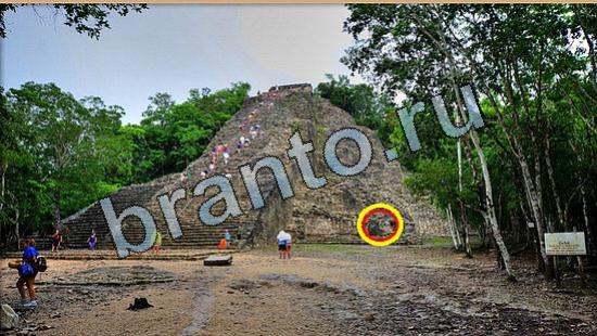 Где же кот игра ответы Уровень 6453