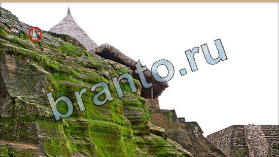 Где же кот игра подсказки Уровень 6454