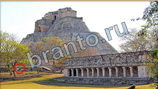 Где же кот игра помощь Уровень 6455