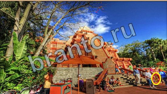 Игра Где же кот ответы Уровень 6457