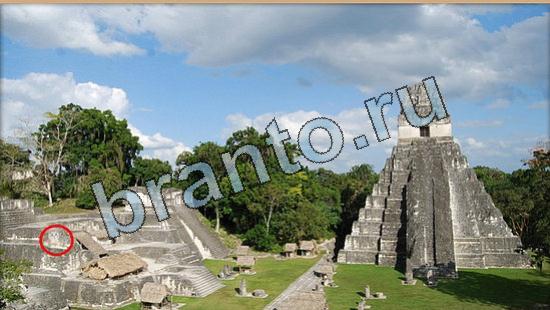 Игра Где же кот прохождение Уровень 6460