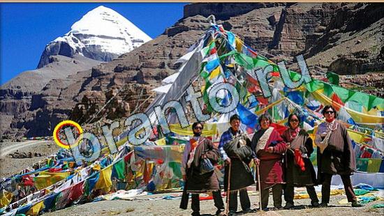 відповіді на игру Где же кот в одноклассниках Уровень 6463