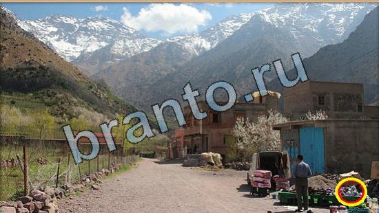 Прохождение игры Где же кот Уровень 6464