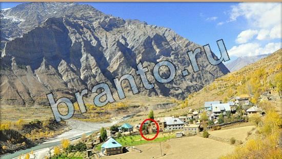 ответы Где же кот Уровень 6465