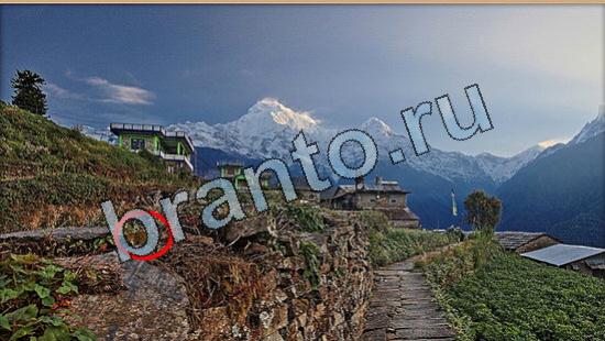 решения для игры Где же кот Уровень 6468